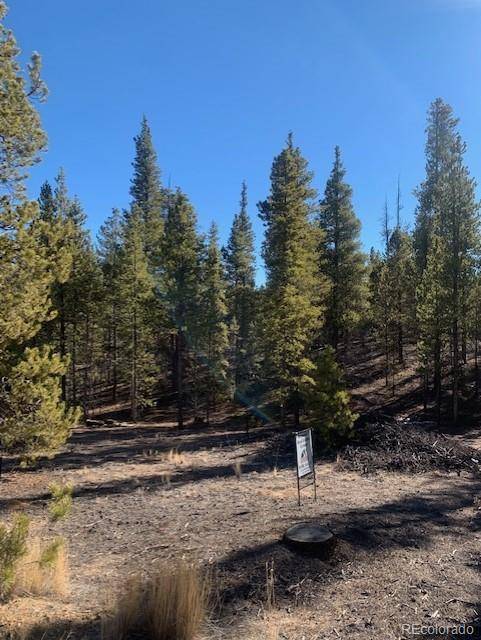 180 Peak View DR, Leadville, CO 81251