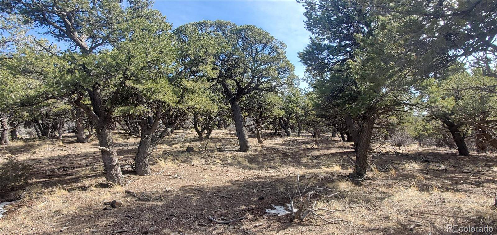 Lot 7274 Barker RD, Fort Garland, CO 81133