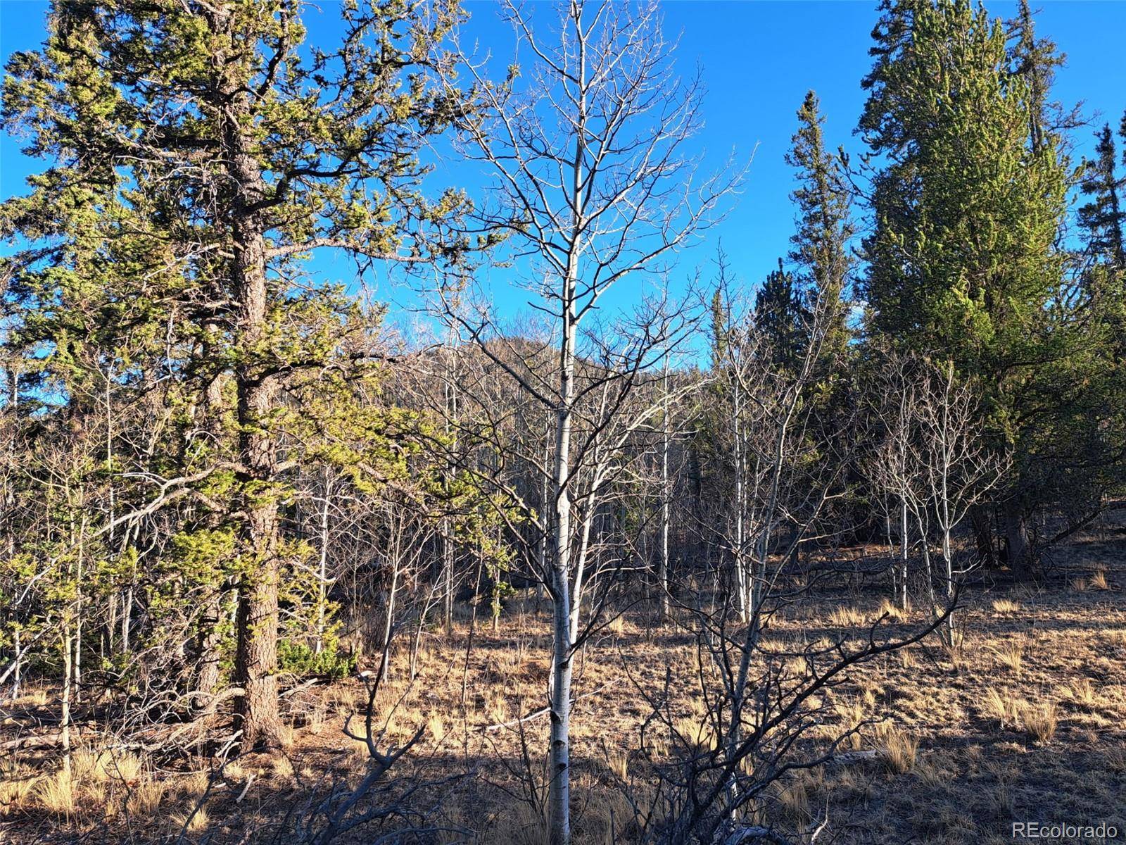1645 Chippewa RD, Como, CO 80432