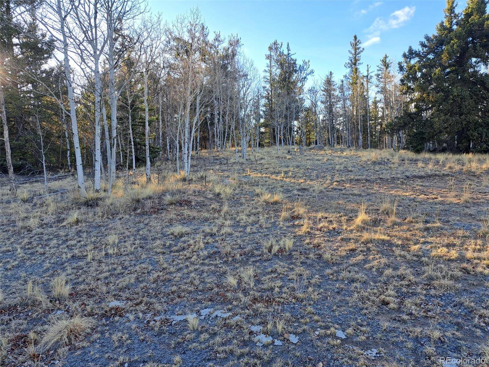 1645 Chippewa RD, Como, CO 80432