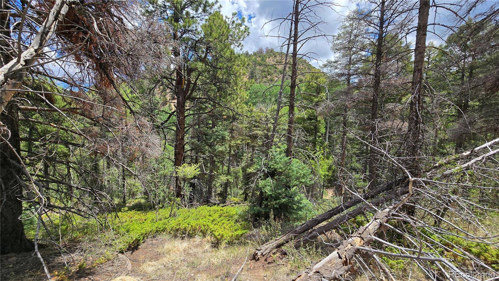 Lot 5540 Joy RD, Fort Garland, CO 81133