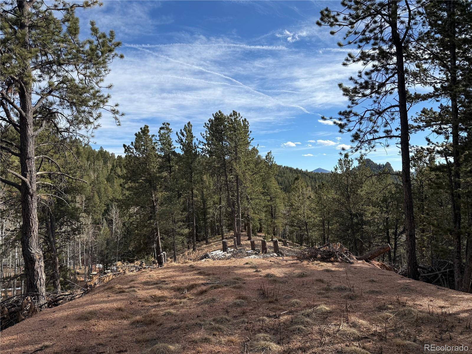 162 Eagle DR, Divide, CO 80813