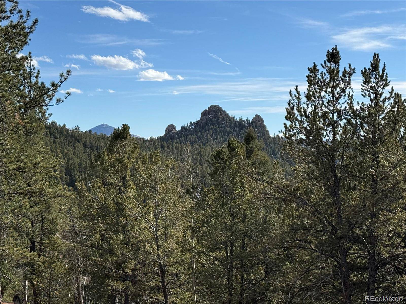 162 Eagle DR, Divide, CO 80813