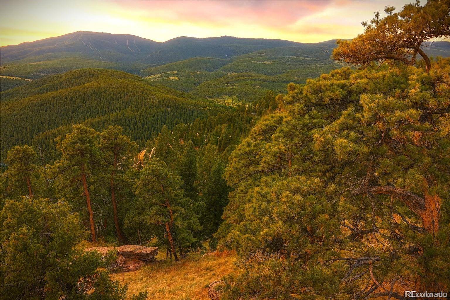 32553 Lodgepole CIR, Evergreen, CO 80439
