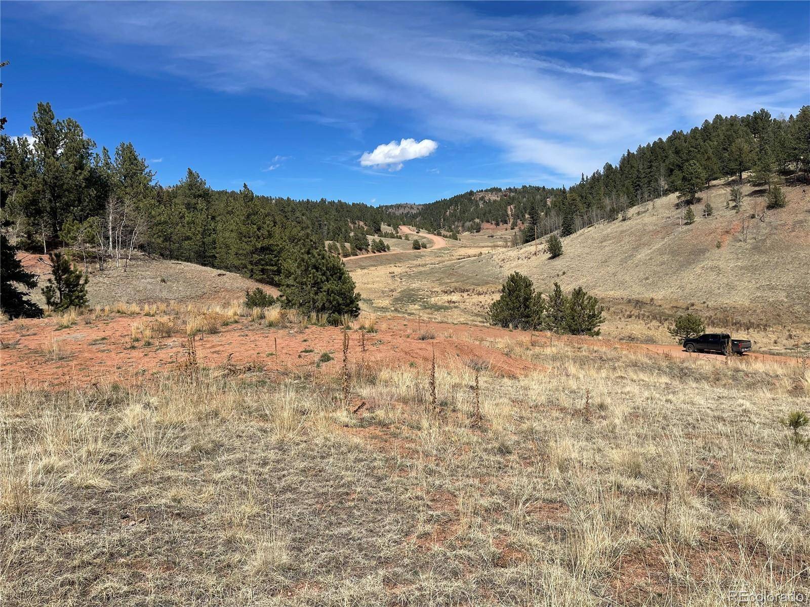 323 Gold King DR, Cripple Creek, CO 80813