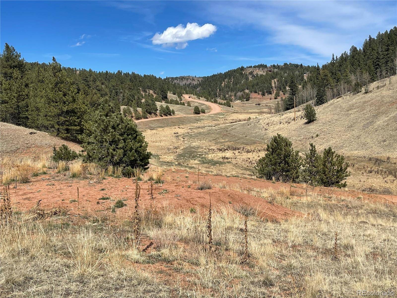 323 Gold King DR, Cripple Creek, CO 80813