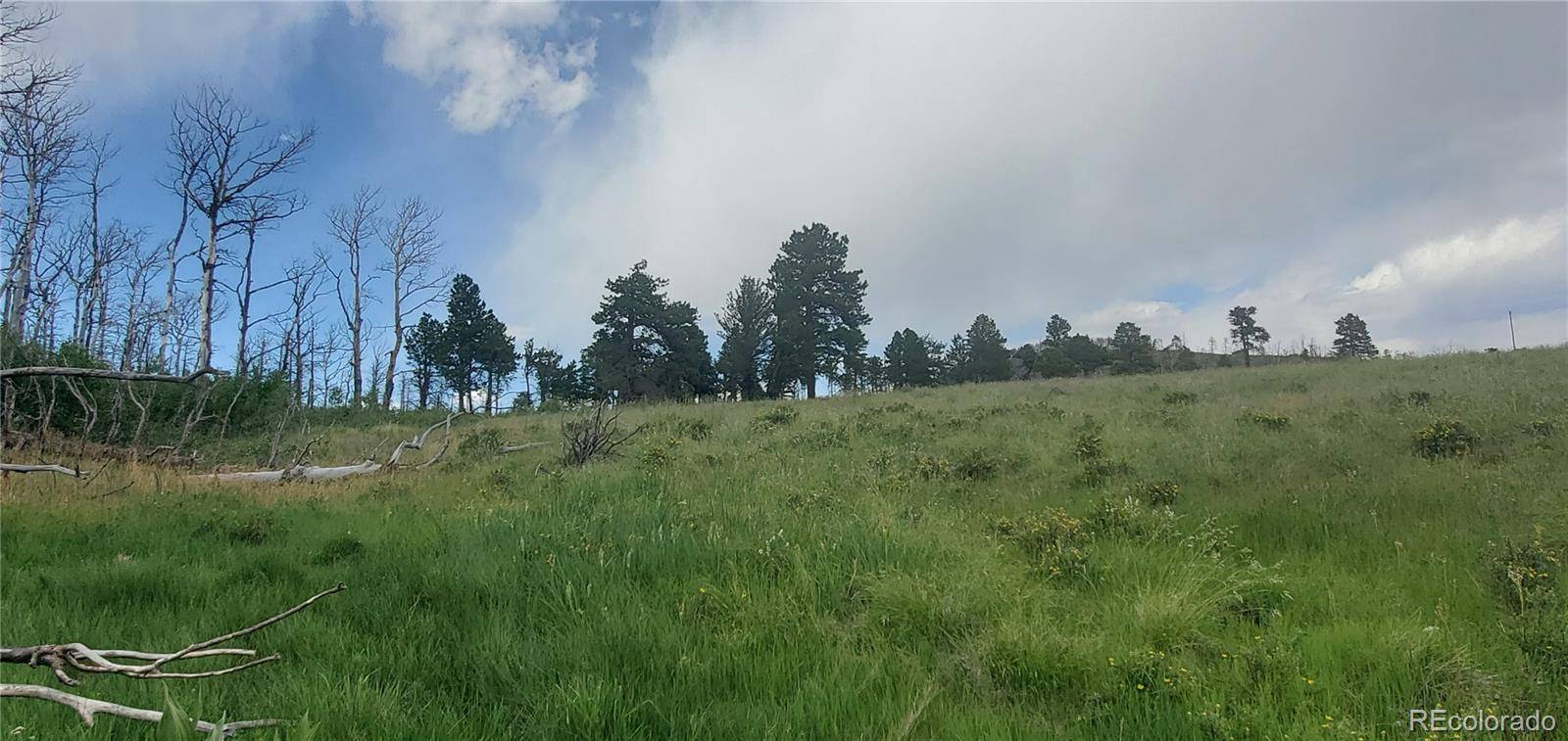 Lot 1720 Fitts PL, Fort Garland, CO 81133