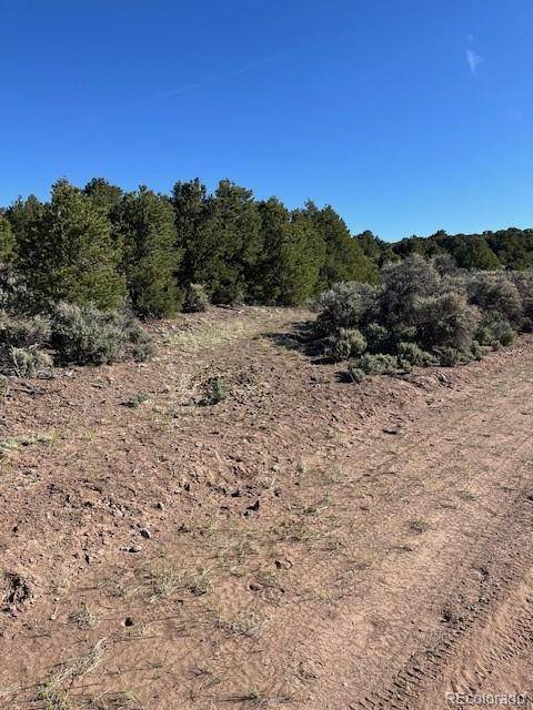 Lot 4 Elk Park RD, San Luis, CO 81152