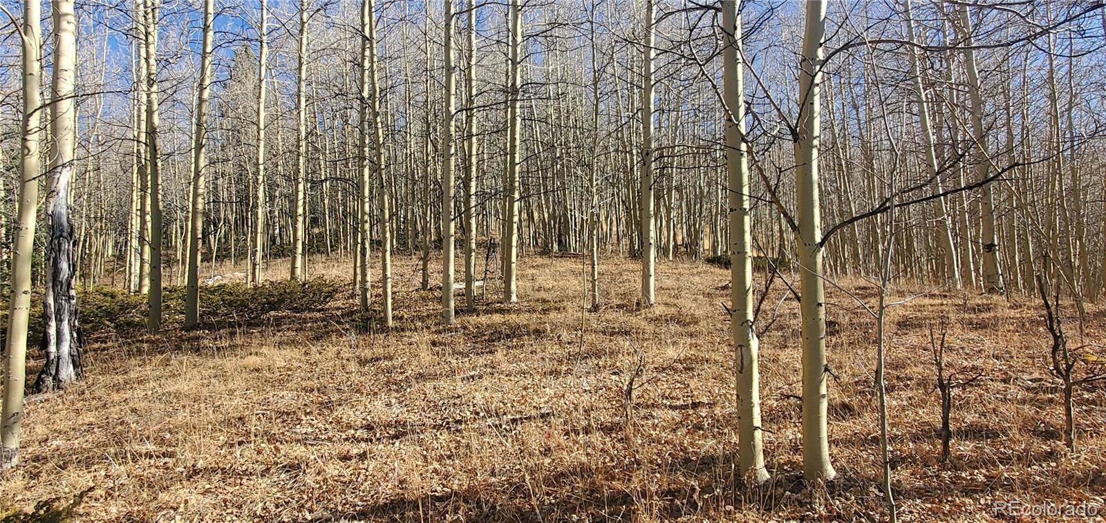 Lot's 6414 & 6415 Bronfman RD, Fort Garland, CO 81133