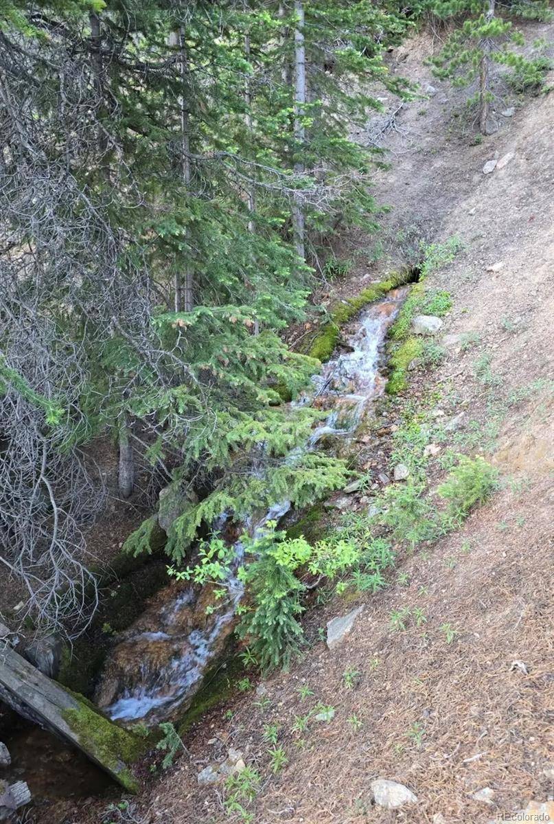 Democrat Mountain Claims, Georgetown, CO 80444