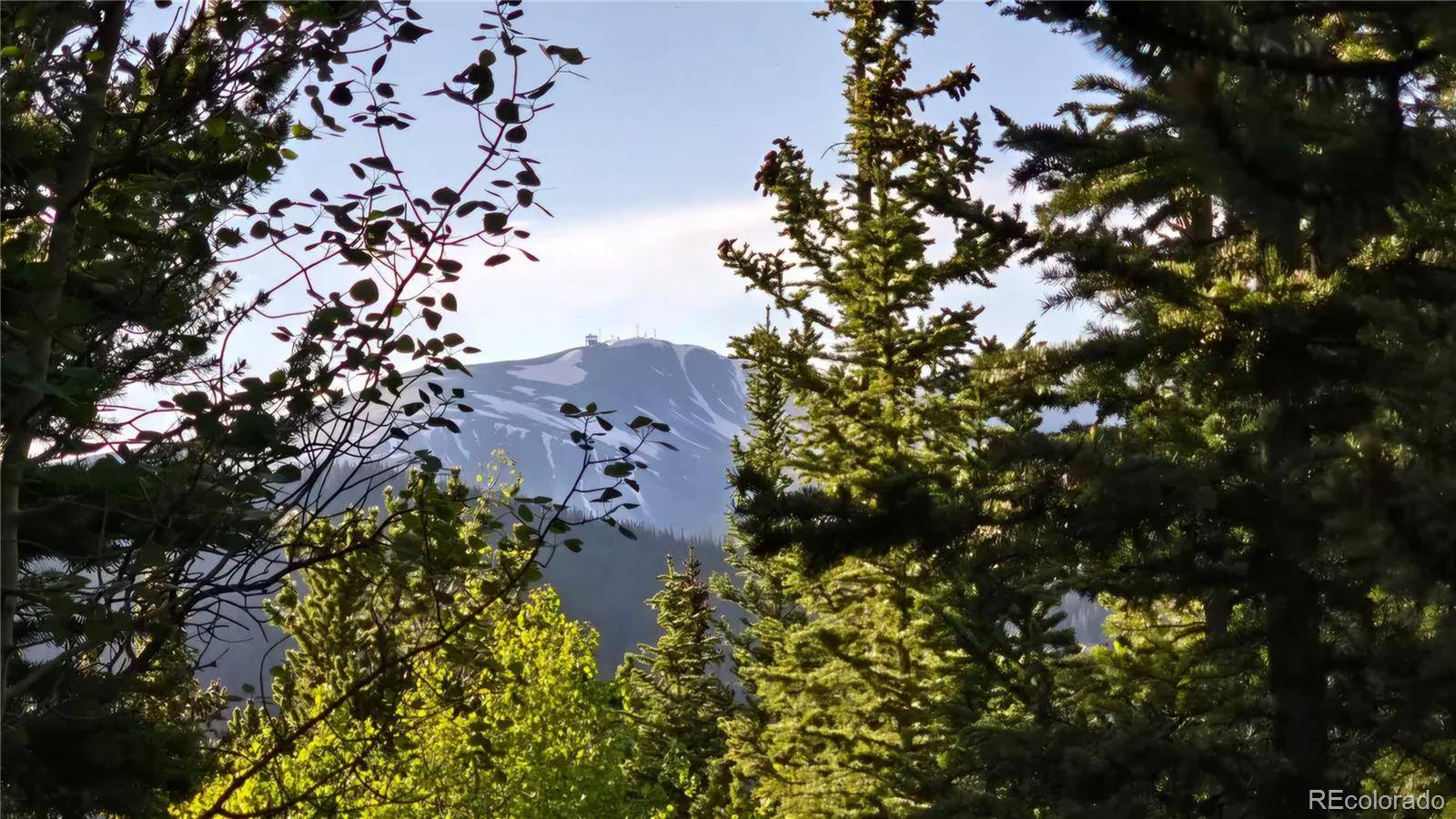 Democrat Mountain Claims, Georgetown, CO 80444