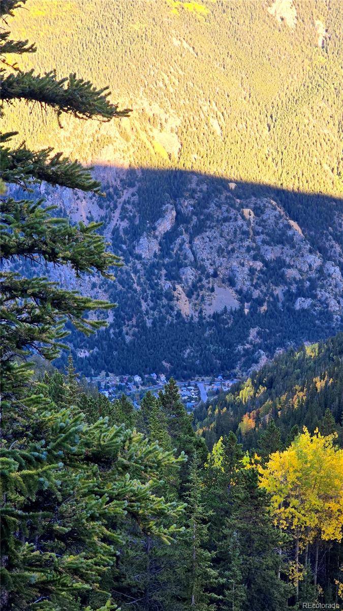 Democrat Mountain Claims, Georgetown, CO 80444