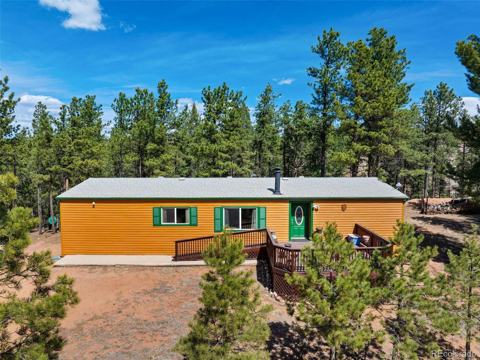1299 Pikes Peak DR, Florissant, CO 80816