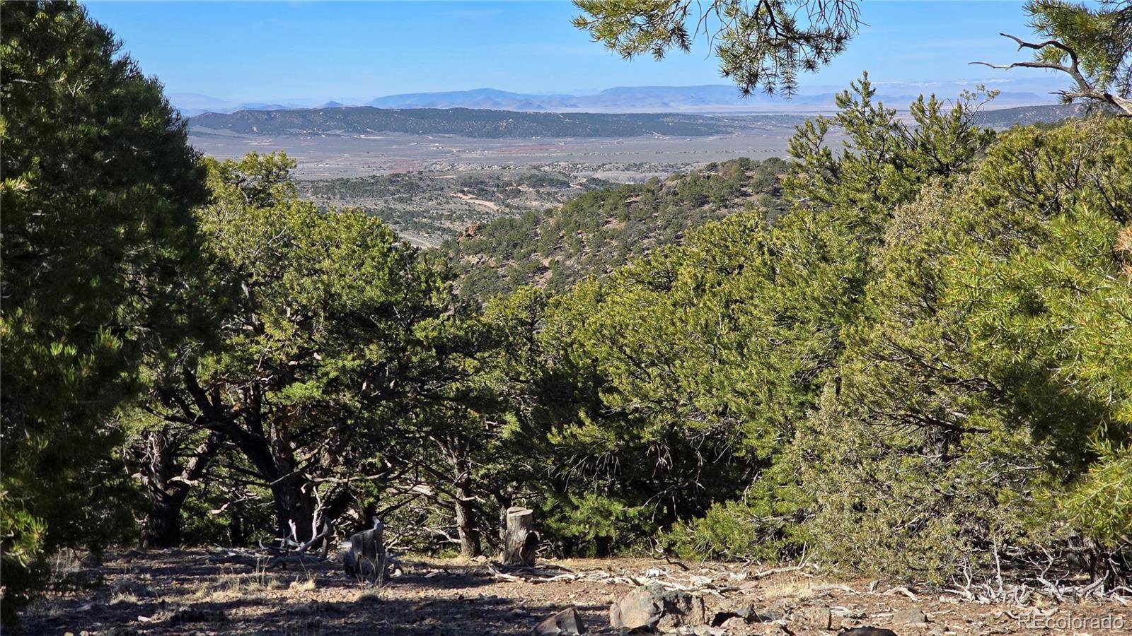 Lot 4510 Iannelli RD, Fort Garland, CO 81133