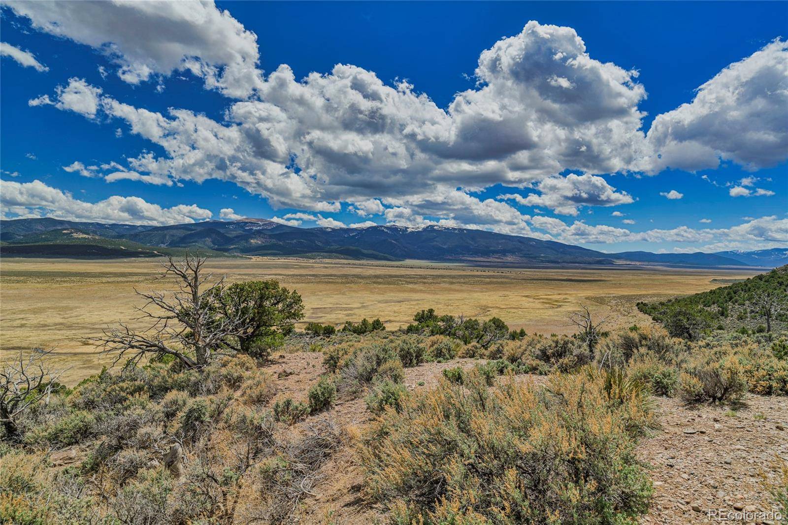 Lot 14 Little Norway Subdivision, San Luis, CO 81152