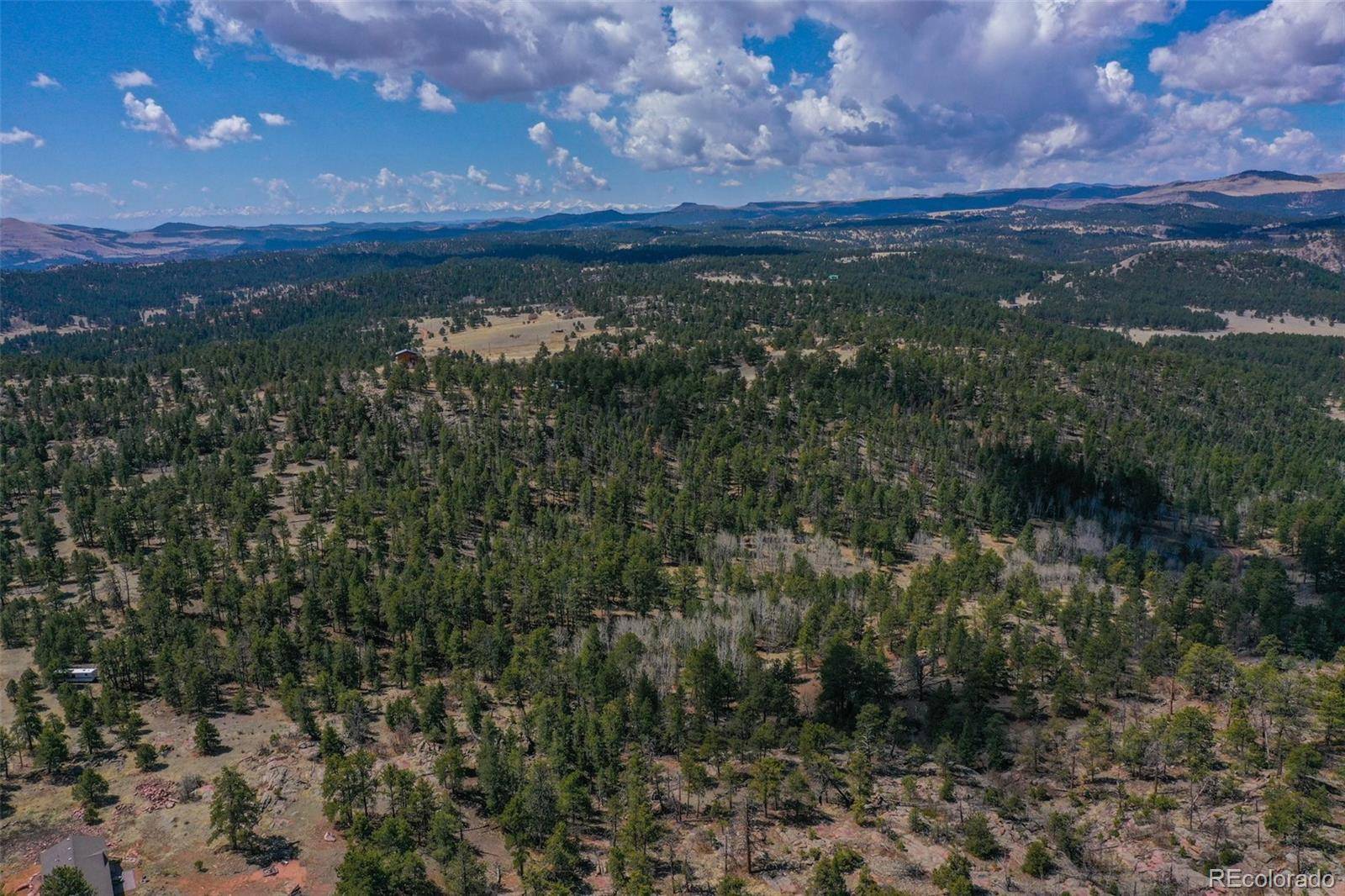 487 Pike View LN, Florissant, CO 80816
