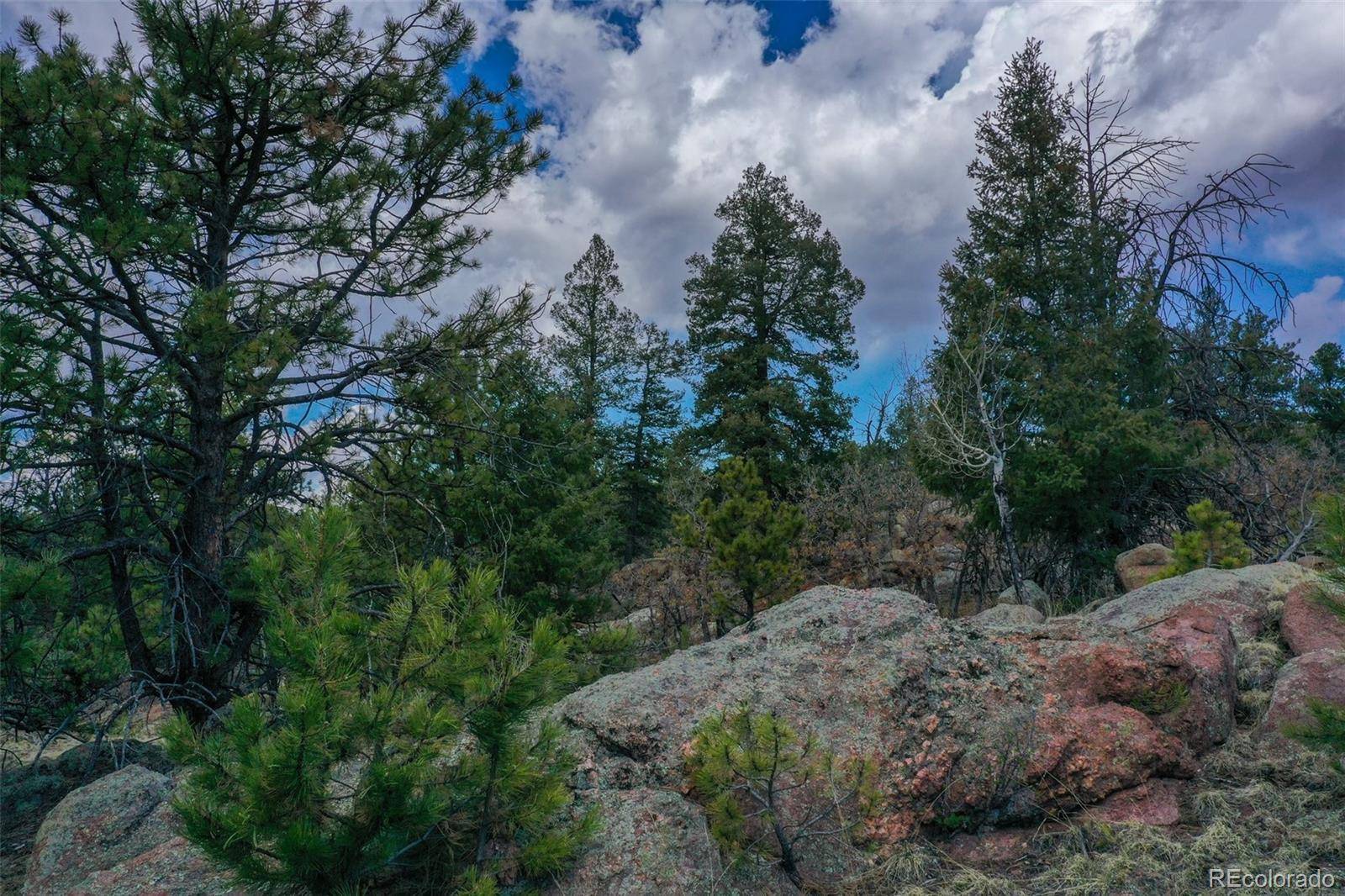 487 Pike View LN, Florissant, CO 80816