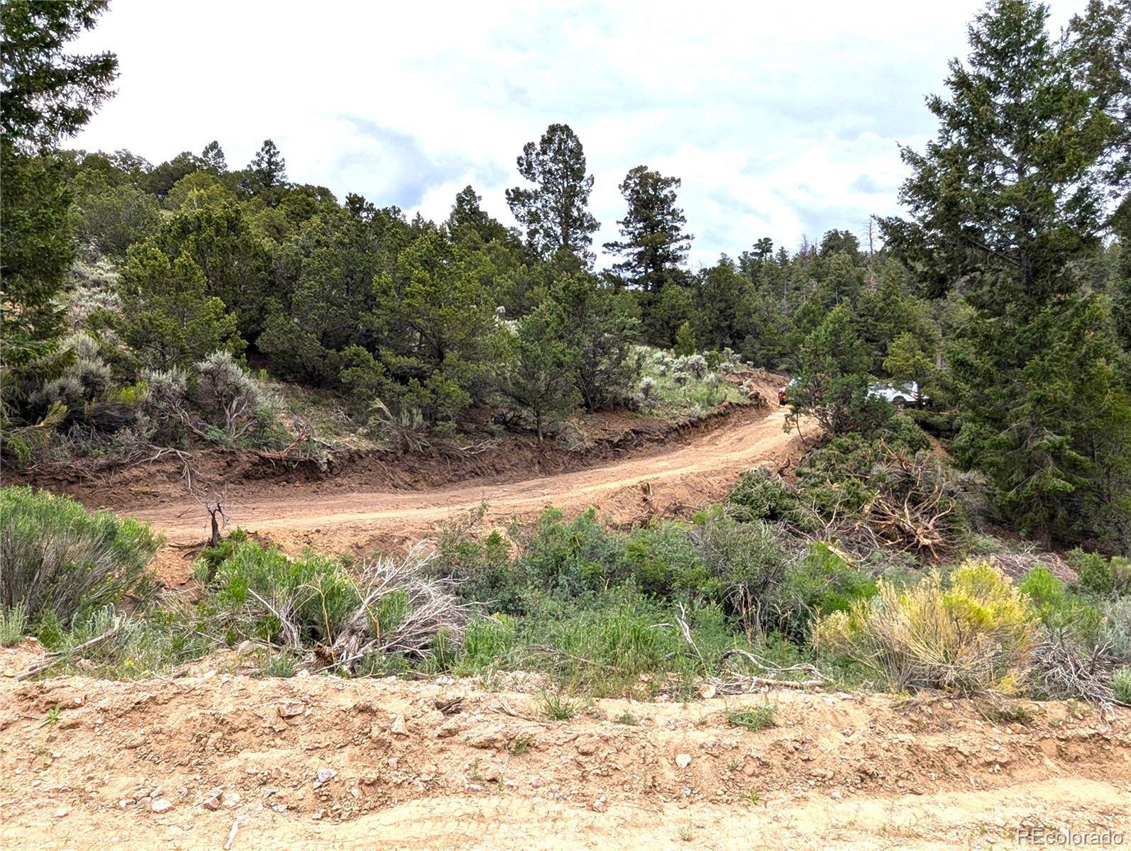 1593 Jaidi RD, Fort Garland, CO 81133