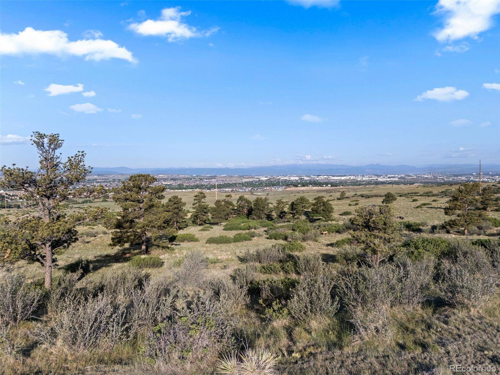 13500 Pine DR, Parker, CO 80138