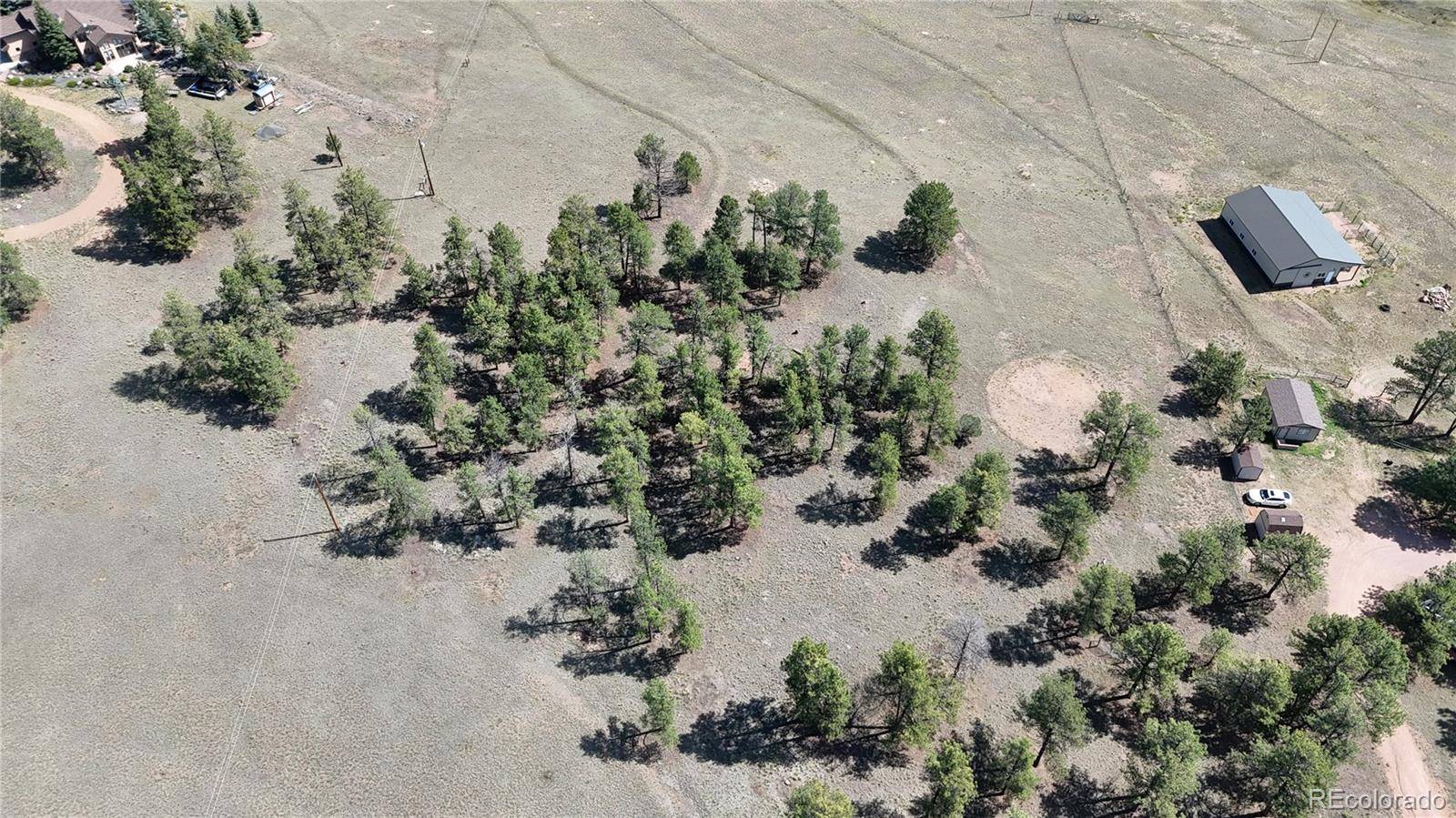 431 High Chateau RD, Florissant, CO 80816