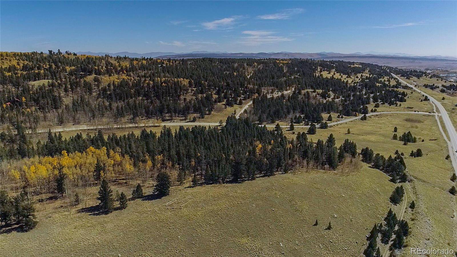 381 Platte River DR, Fairplay, CO 80440
