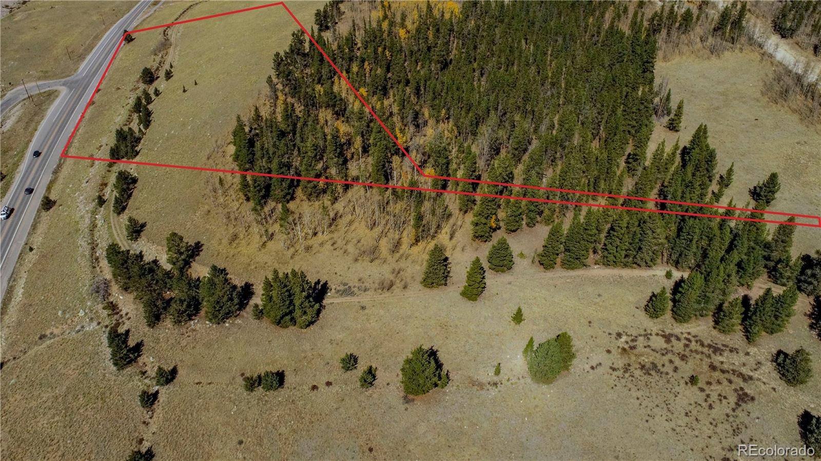 381 Platte River DR, Fairplay, CO 80440