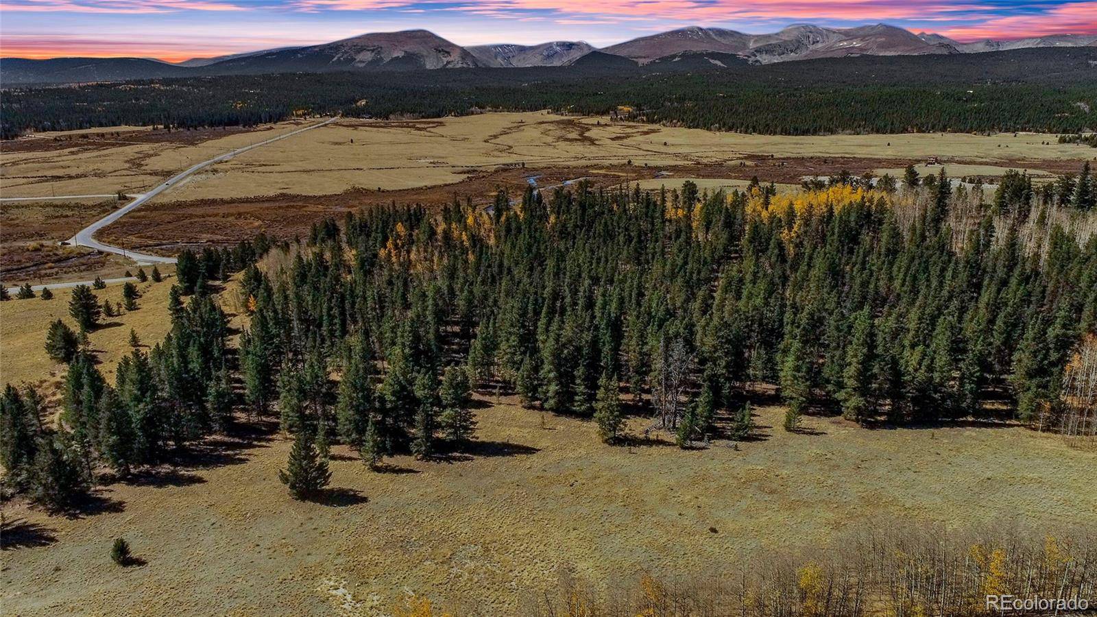 381 Platte River DR, Fairplay, CO 80440