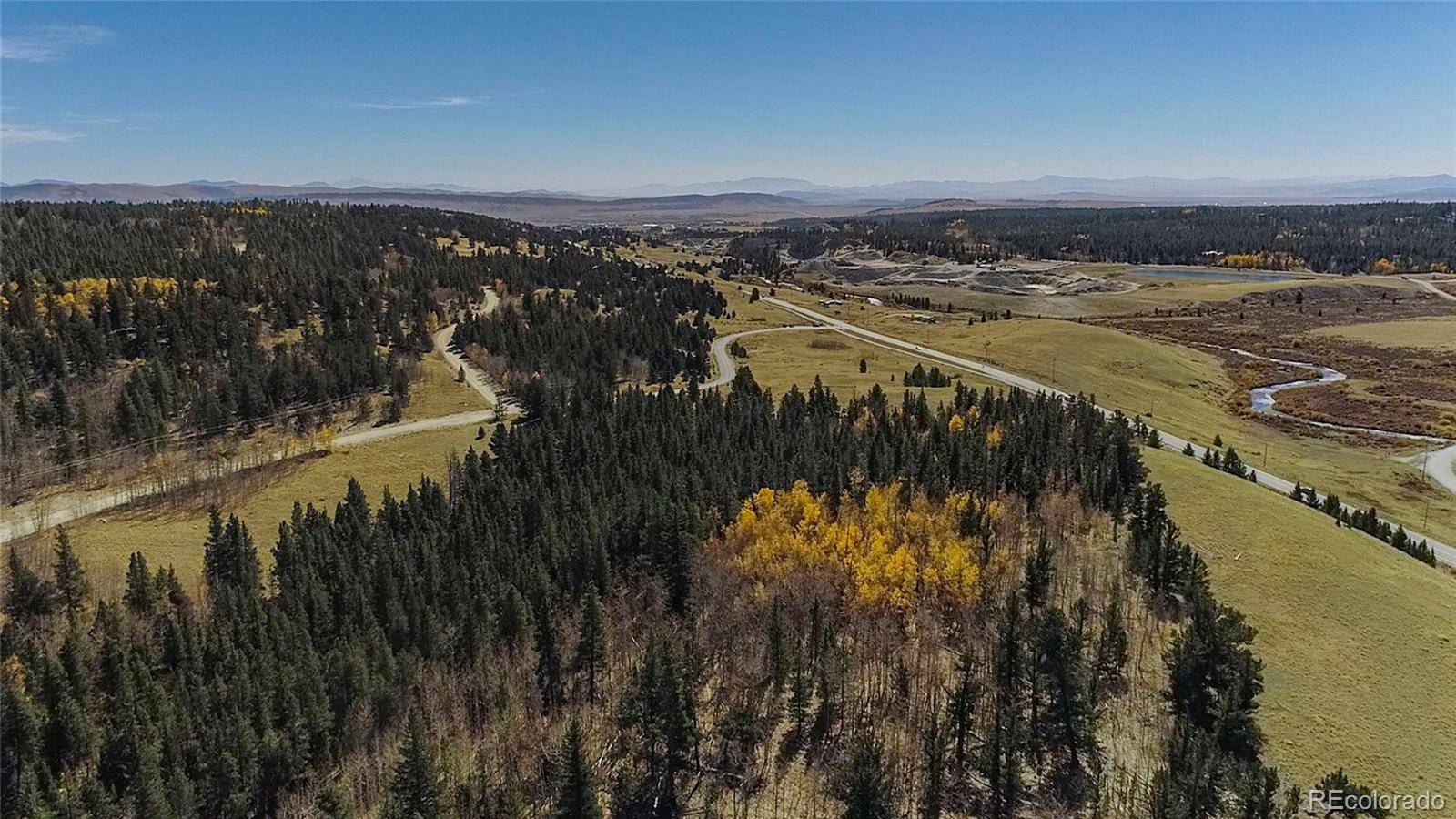 381 Platte River DR, Fairplay, CO 80440