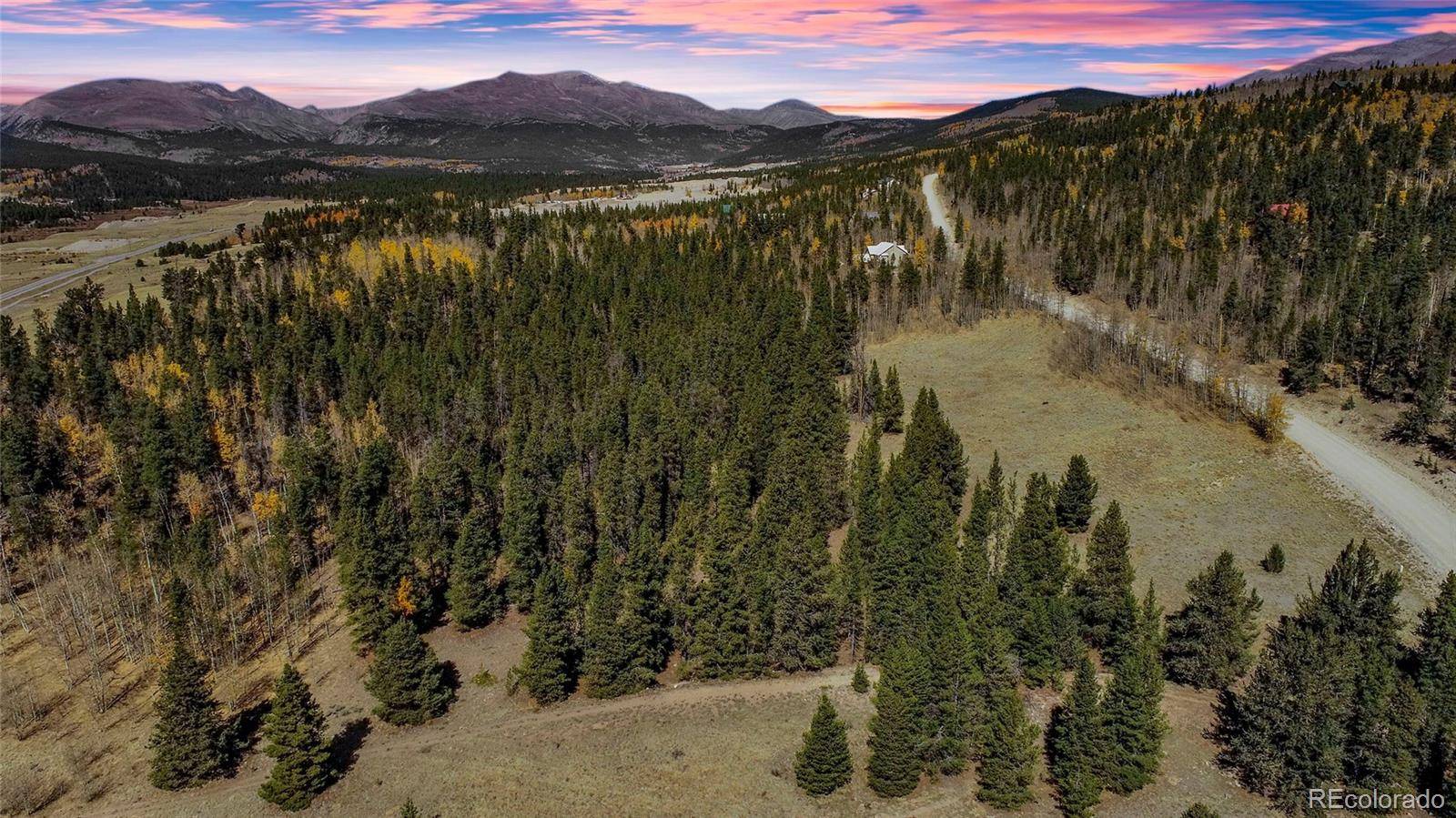 381 Platte River DR, Fairplay, CO 80440