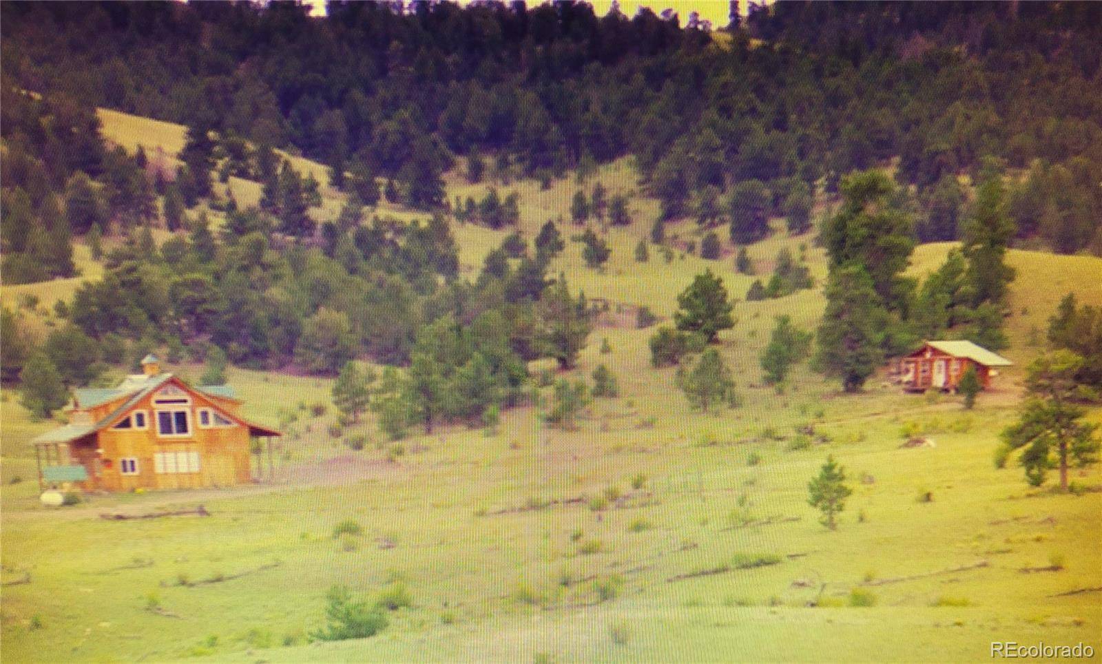 79 Quail Court, Hartsel, CO 80449