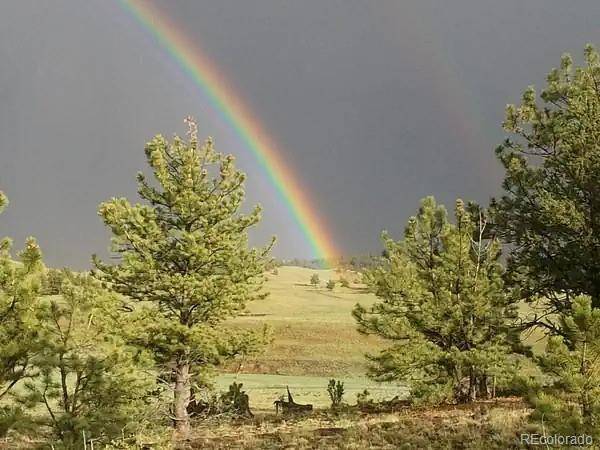79 Quail Court, Hartsel, CO 80449