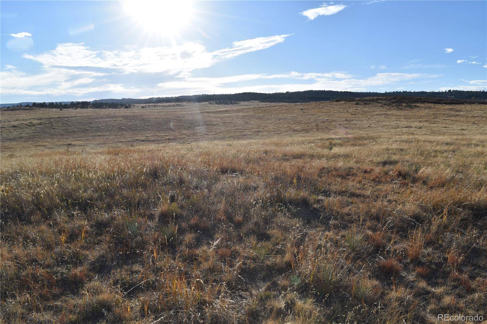 0 (Lot 3) County Road 102, Elbert, CO 80106