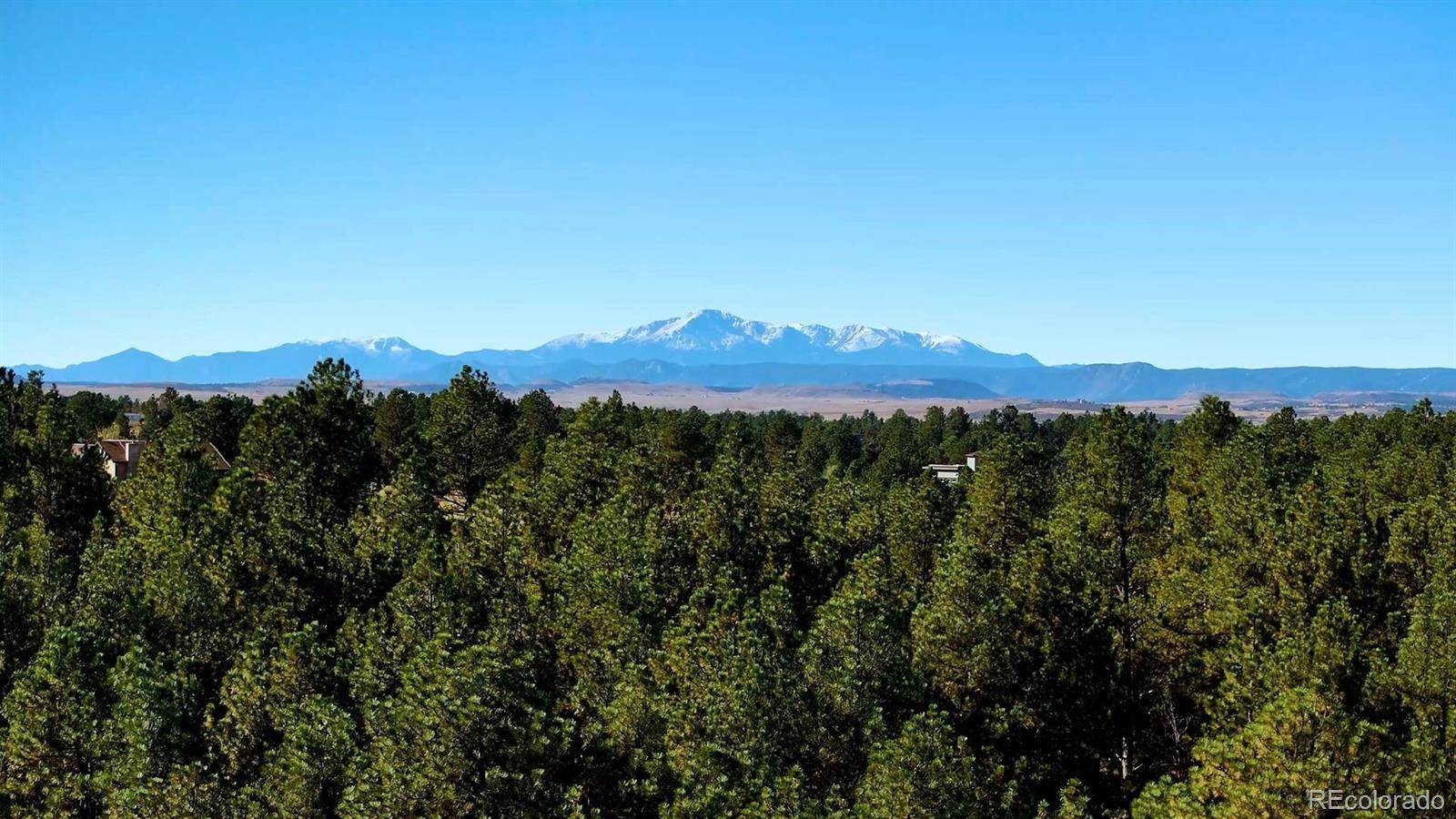 1133 Tomichi DR, Franktown, CO 80116