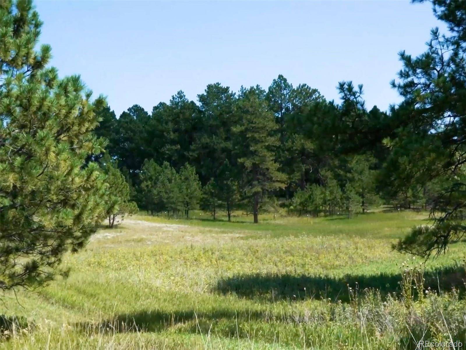 1133 Tomichi DR, Franktown, CO 80116