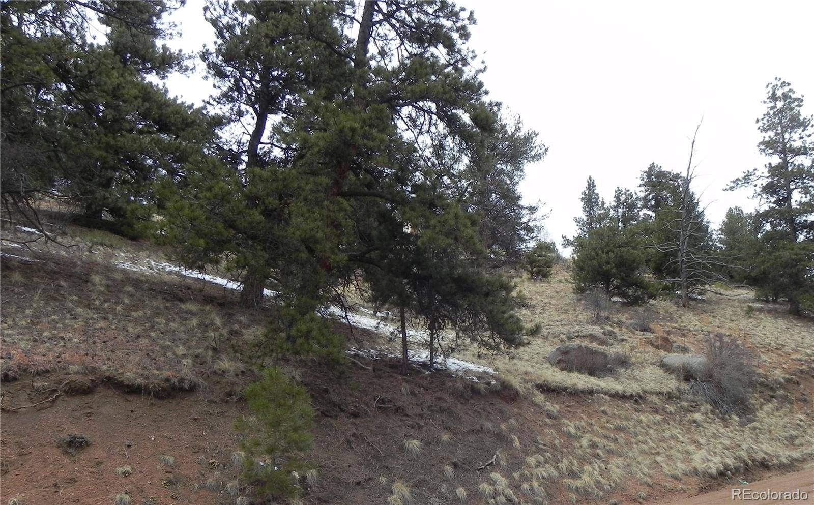 153 Idlewild DR, Cripple Creek, CO 80813