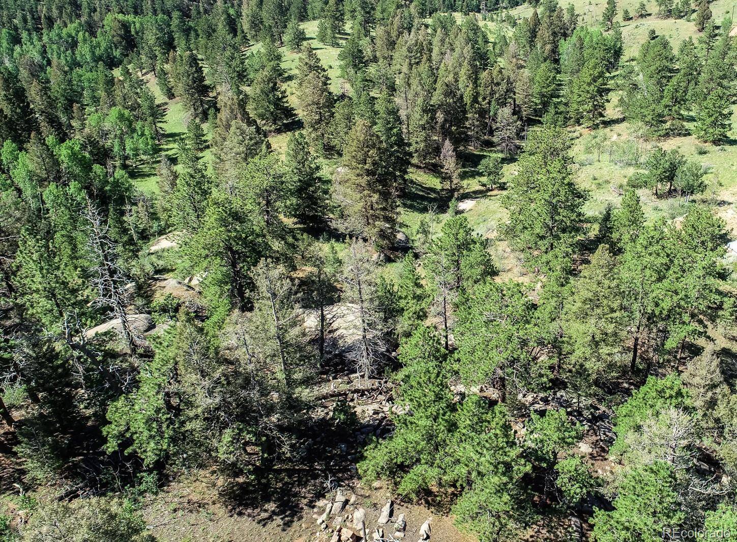 235 Hay Creek RD, Florissant, CO 80816
