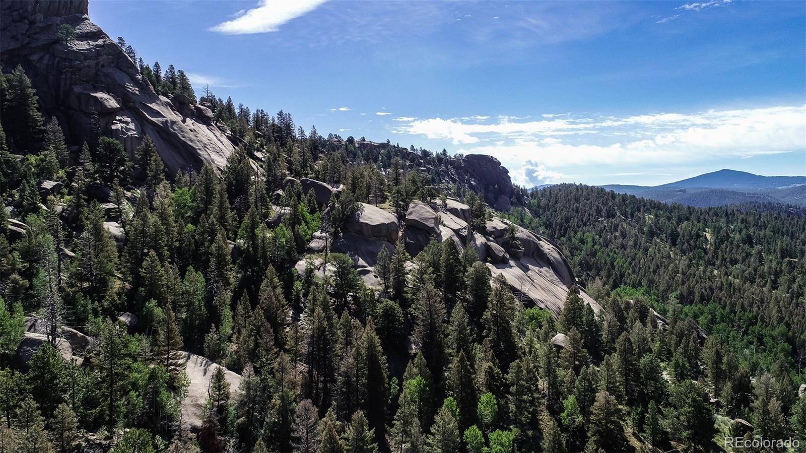 235 Hay Creek RD, Florissant, CO 80816