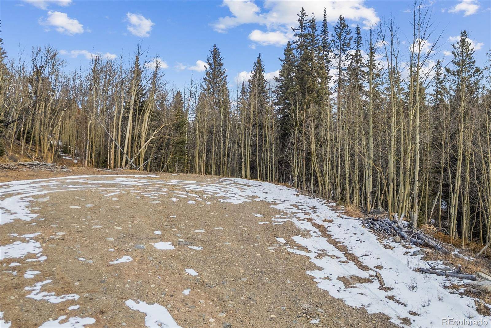 131 Aspen ST, Alma, CO 80420