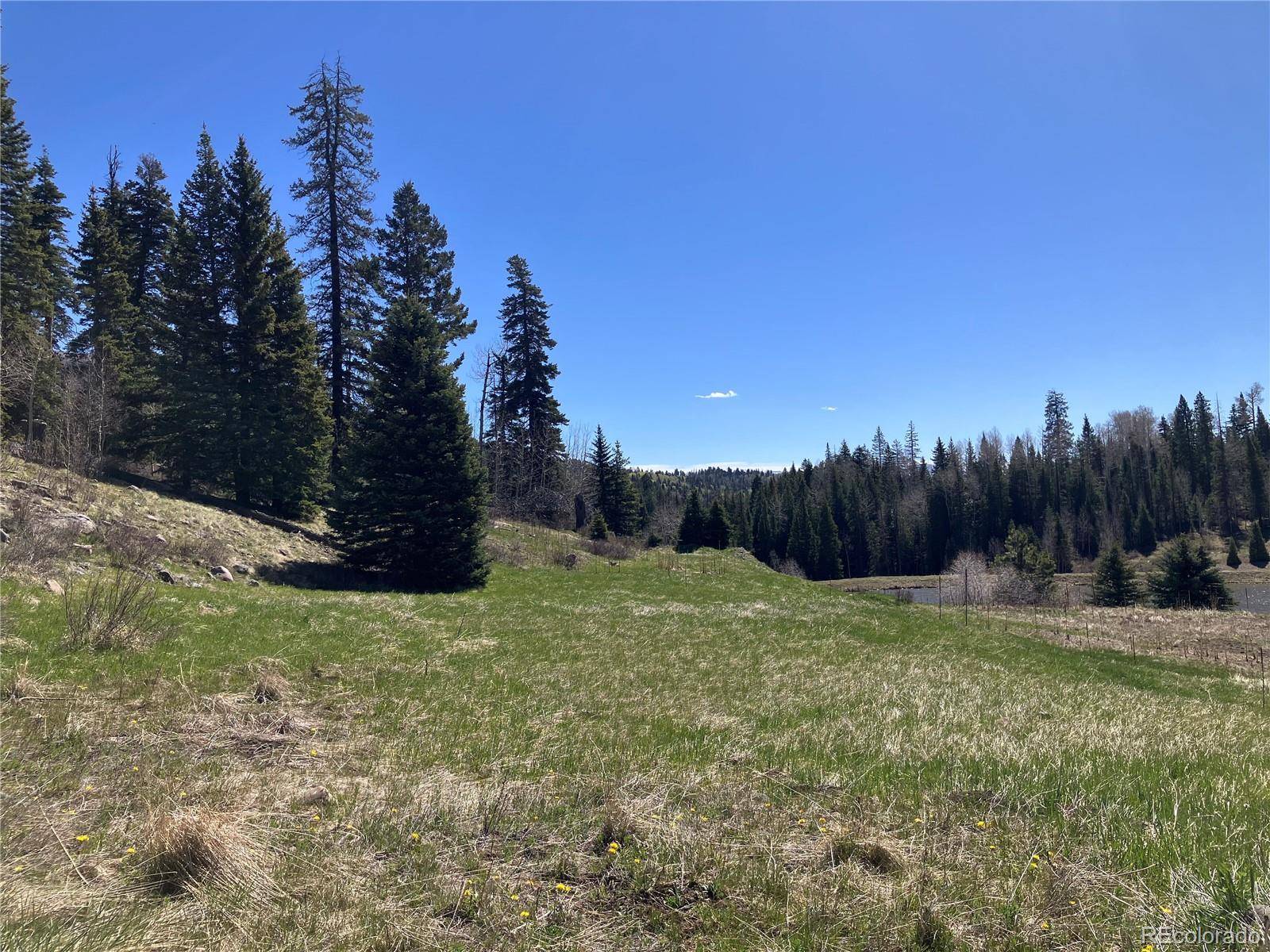 222 Lost Valley DR, Creede, CO 81130