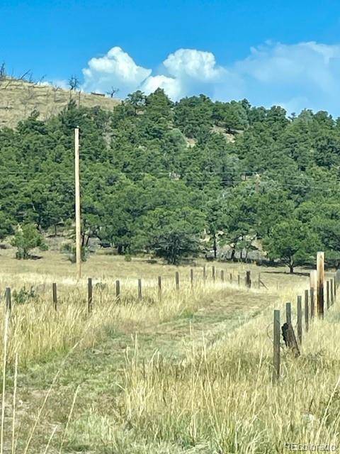 1971 County Road 27a, Cotopaxi, CO 81223