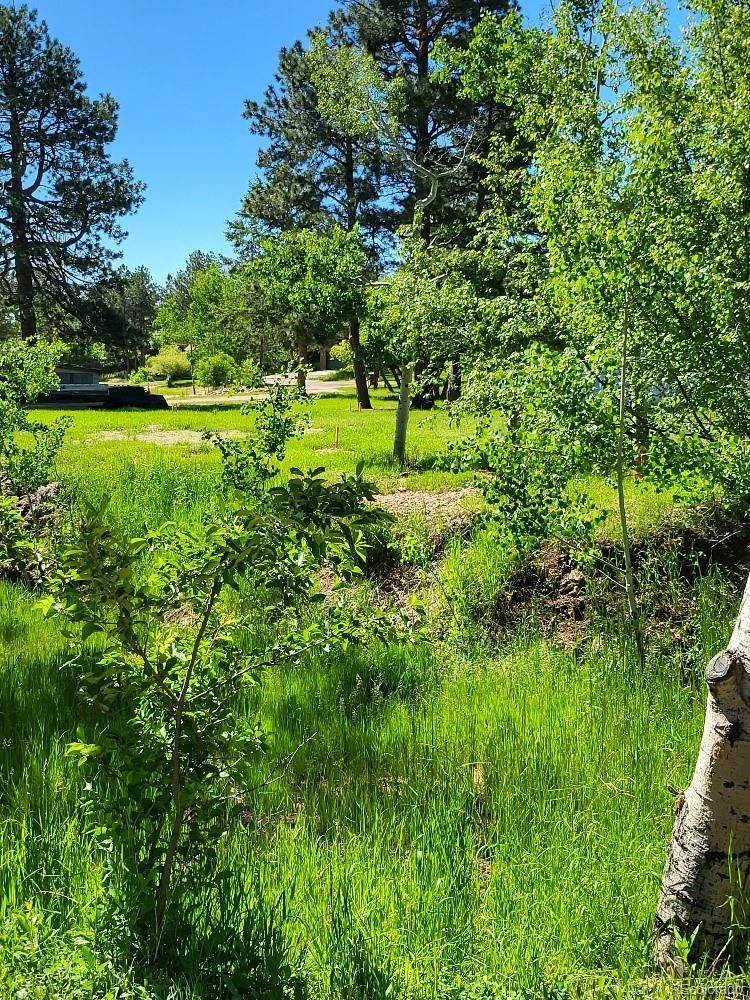141 Virginia AVE, Palmer Lake, CO 80133