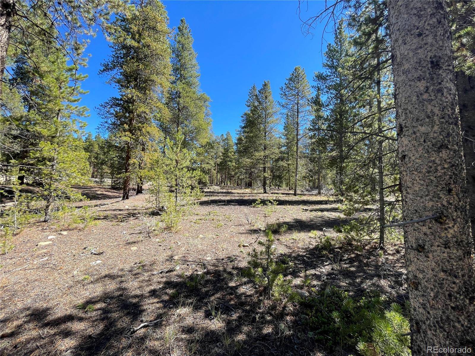 100 Virginia AVE, Leadville, CO 80461