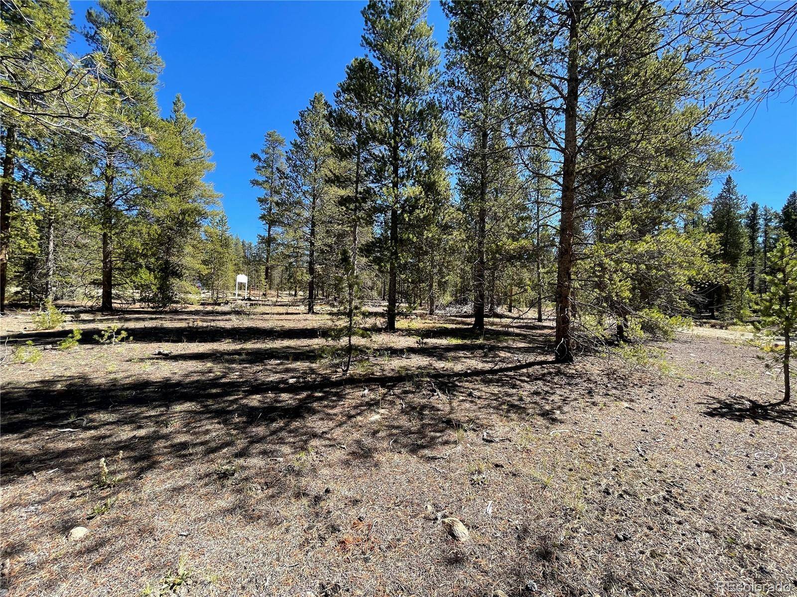 100 Virginia AVE, Leadville, CO 80461