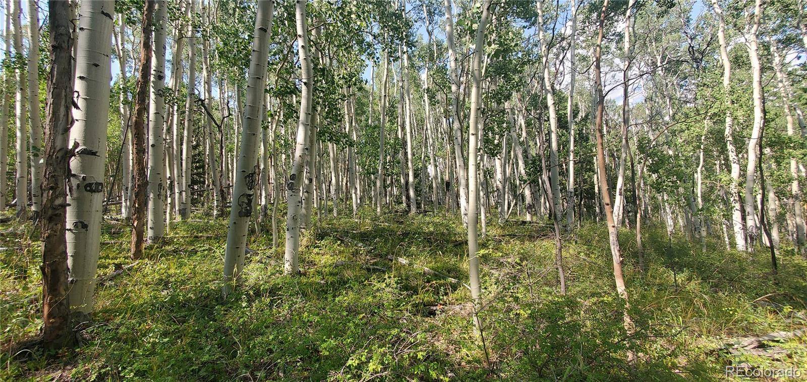Lot 5837 Sheldon RD, Fort Garland, CO 81133
