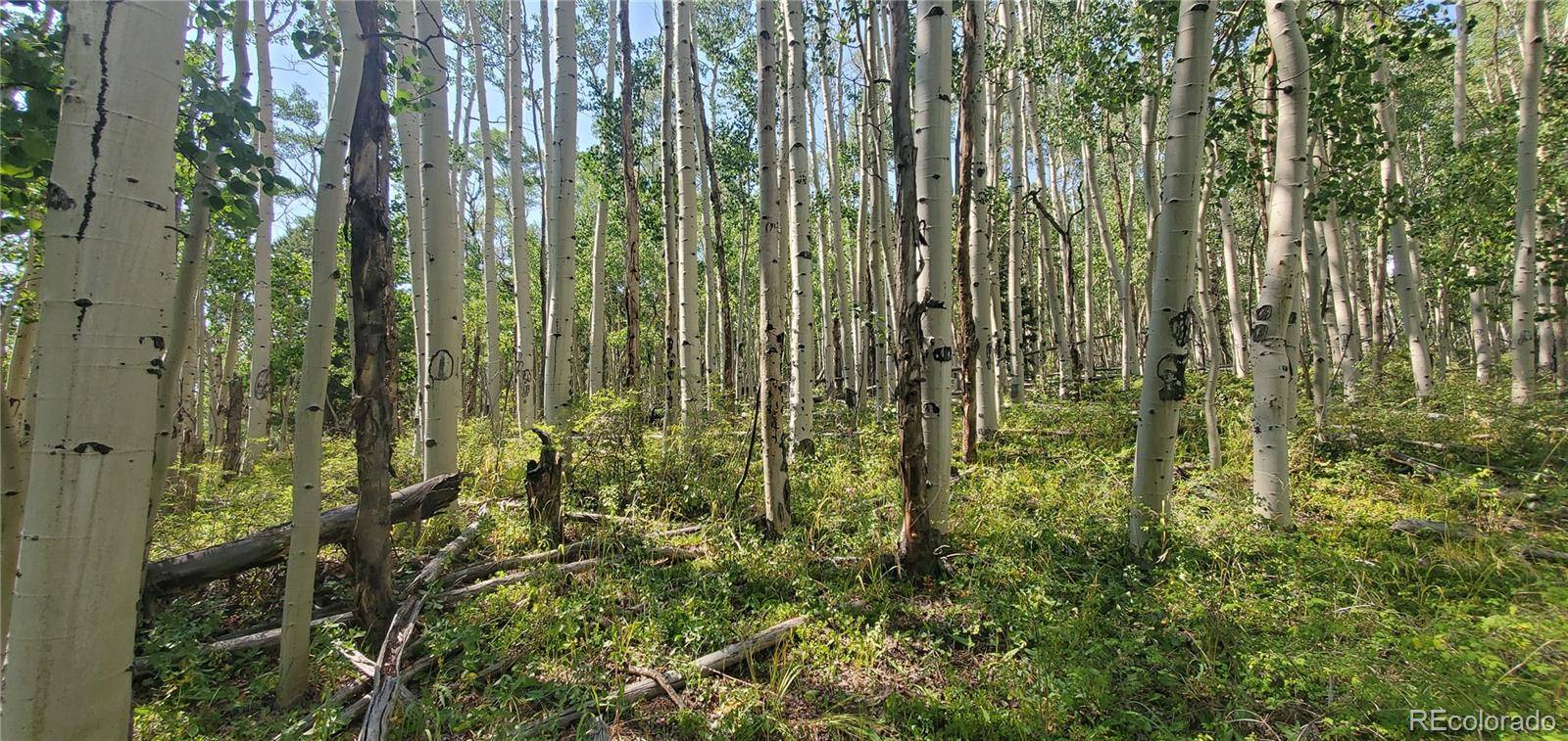 Lot 5837 Sheldon RD, Fort Garland, CO 81133
