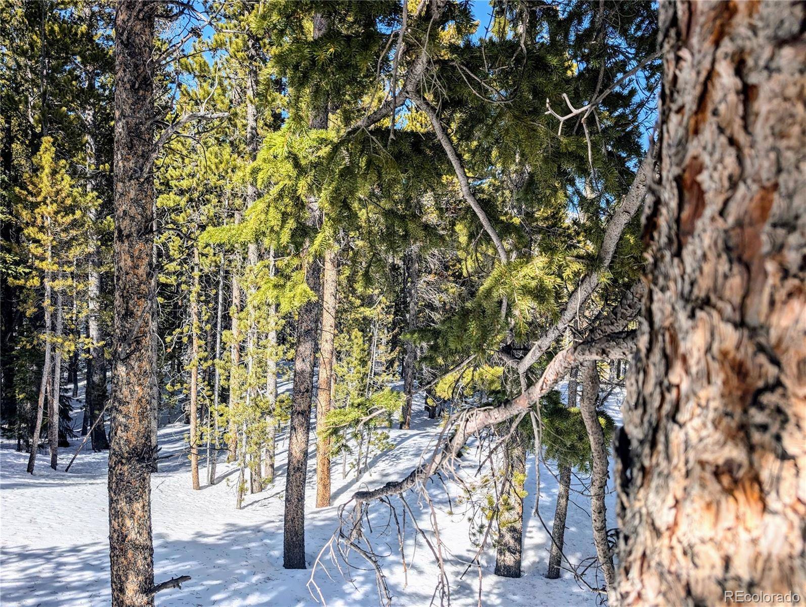 Lot 234 Alice RD, Idaho Springs, CO 80453