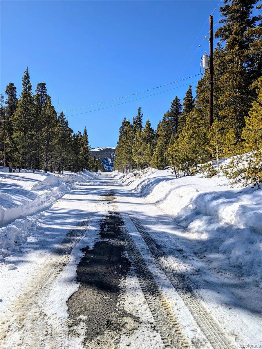 Lot 234 Alice RD, Idaho Springs, CO 80453