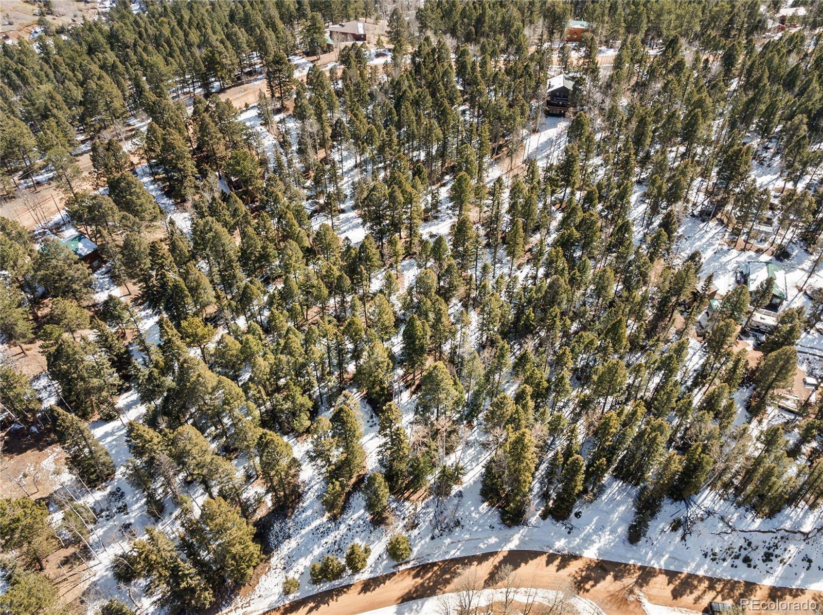 358 Pawutsy RD, Florissant, CO 80816