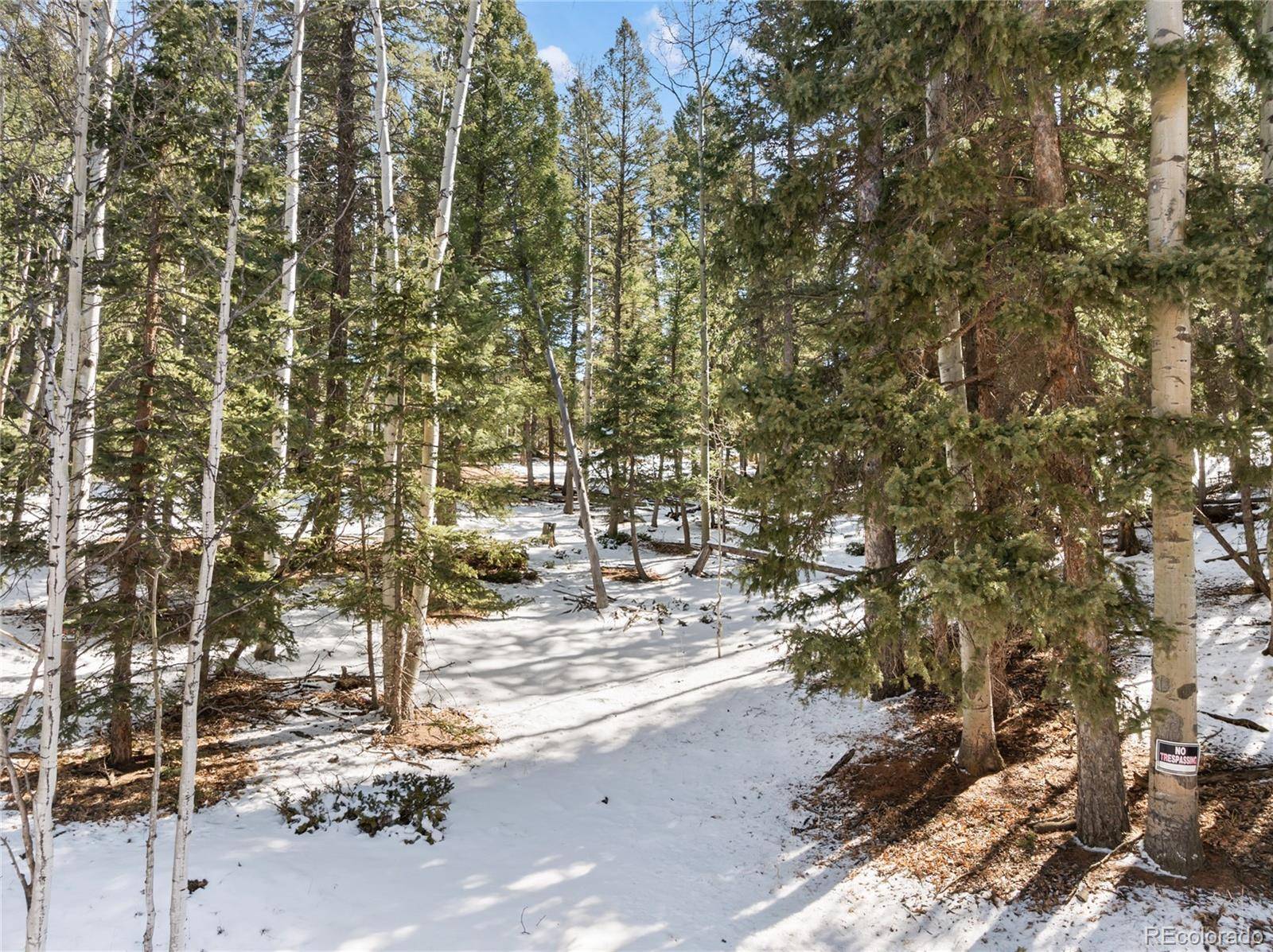 358 Pawutsy RD, Florissant, CO 80816