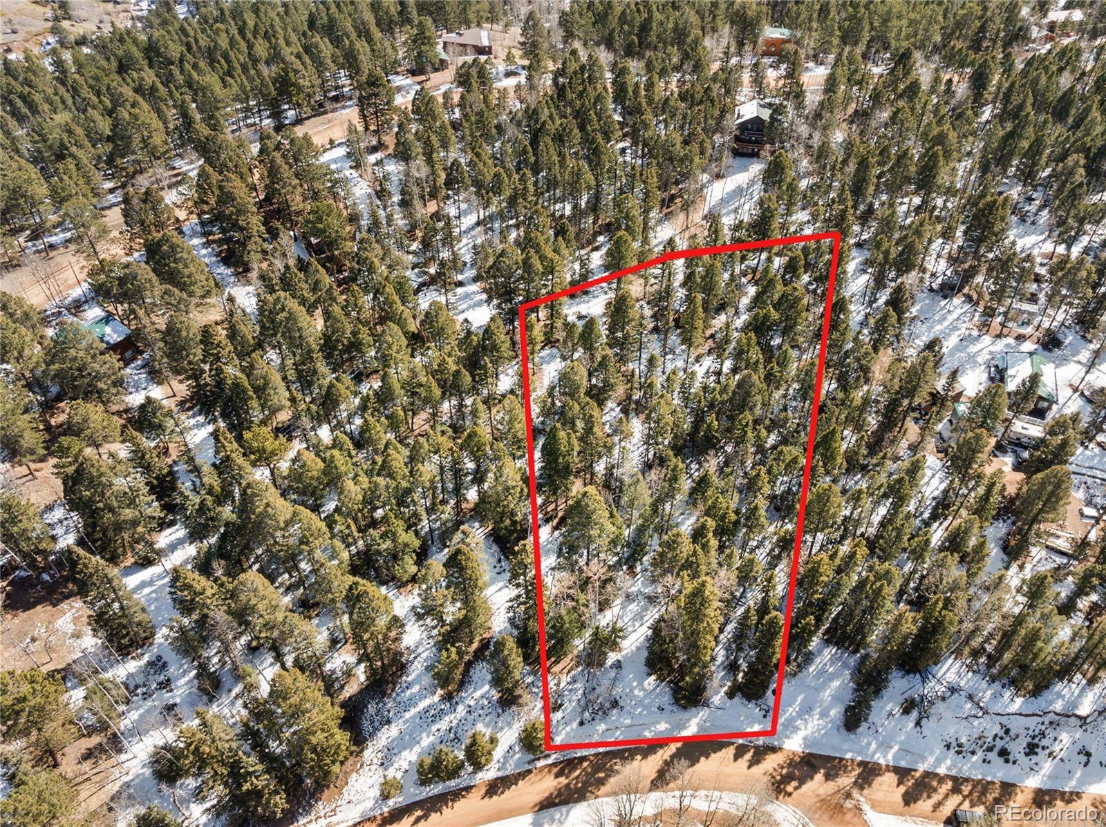358 Pawutsy RD, Florissant, CO 80816